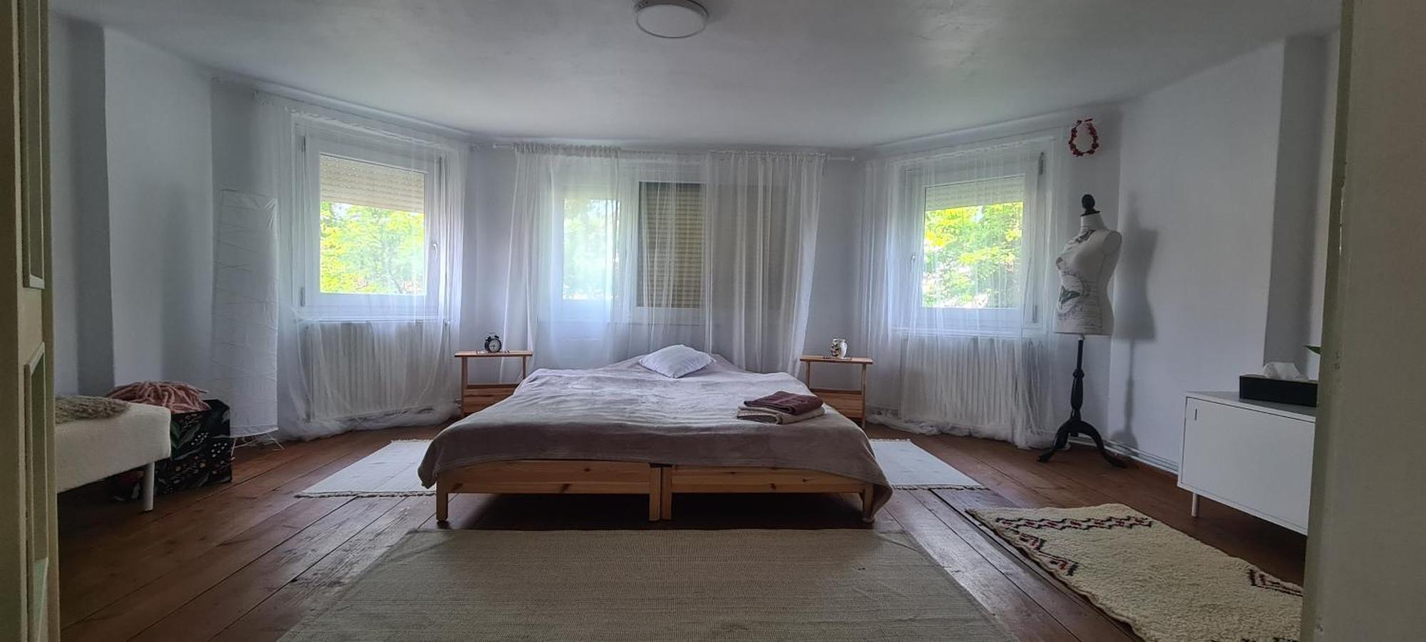 Petit Castel Holiday home Bran (Brasov)